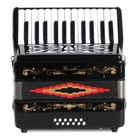Rossetti 25 Keys 12 Bass Buttons 2512 Piano Accordion - Black   Case  Strap