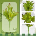 8 Pcs Artificial Succulent Plants Unpotted Fake Mini Succulents Realistic Faux 