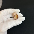 Acanthina Monodon  25 8mm  W o  Seashell From Argentina