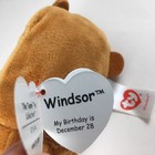 Windsor  Teeny Ty Beanie Babies  New  Plush   With  tags The Bear Stackable 2018