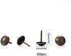 250 Pcs Upholstery Tacks Decorative Furniture Tacks Round Head Bro   