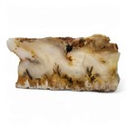 Plume Agate Slab Oregon 188 5 Grams 