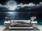 3d Full Moon Ocean Wallpaper Wall Mural Self-adhesive Removable 367