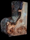 Xl Mind Blowing Spalted Birdseye Maple  Burl Wood Slab  Turning Wood Epoxy Wood 