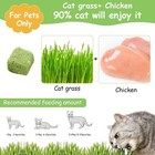 Freeze Dried Cat Grass Treats 60g Chicken 2 Ingredient Hairball teeth Clean Cats