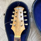 Suzuki No 203 Vintage Mandolin Japan Wooden String Instrument With Case