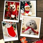 Dog Cat Puppy Pet Hood Cape Scarf Santa Hat Cloak Dress-up Costume Cosplay Party