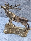 Brass Moose