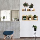 Flower Pot Drawing Home Room Decor Removable Wall Stickers Decal Decoration