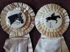 Foxfield Riding Club Spring Horse Show Ribbons Awards Westlake Village So  Cal 