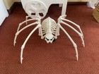 110cm Halloween Skeleton Spider Crazy Bones Posable Party Prop Decoration New