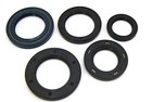 Vertex Oil Seal Kit 822329