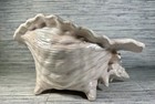 Vintage Ceramic Conch Shell Planter Or Bowl - Opalescent Cream Pink Glaze