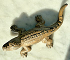 Antique 8 25  Cast Iron Alligator Thompson Co  Advertising Match Safe Gold Paint