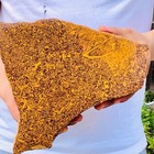 5 61lb  Natural Coquina Jasper Lapidary  Rough Slab Display Collectibles