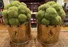 Pair Of Vintage Brass Planters With Moss Topiary Balls