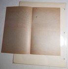 1900s Lithuania Unused Formular Bird Letter Preprinted Original Love Slogan rare