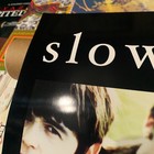 Slowdive  souvlaki  Album Poster - 11x17