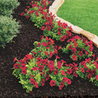 0 8 Cu  Ft  Brown Bagged Recycled Rubber Mulch