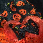 Halloween Dog Dress Night Before Chirstmas