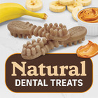 Fresh Kisses Large Dental Chews For Dogs Peanut Butter And Banana Flavor  22 Cou