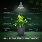 400w Equiv  Led Grow Light Bulb Sunlike Full Spectrum 36w Indoor Veg Bloom E26