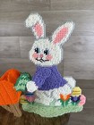 Vtg Easter Bunny   Wheelbarrow Plastic Canvas Needlepoint Cross Stitch Complete