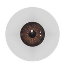 Realistic Brown Eyes For Tpe Doll  Adult Doll Toy eyes Only -mei