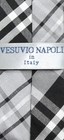 Vesuvio Napoli Boys Clip-on Necktie Black Grey White Plaid Youth Neck Tie