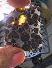 17 Gm Sericho Pallasite Meteorite Slice Translucent From Kenya Std Olivine