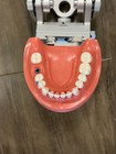 Nissin Pro2002-ul-hd-hm-28 Dental Model Kilgore Typodont Teeth Implant School