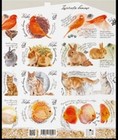 Poland 2026  Pets  Cats  Birds  Fish  Souvenir Sheet Imperforated  Mnh