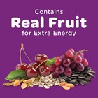 Kaytee Nut   Fruit Blend  Wild Bird Food Bag 5 Pounds