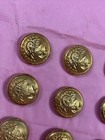 Lot Of 24 Vintage Usmc Marine Corps Gold Tone Uniform Buttons New Old Stock Jd
