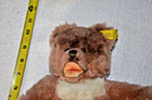 Vintage 11  Steiff Cosy Teddy Bear W tag  Ear Button 5630 00 Dralon Germany 1960