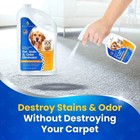 Pet Stain Remover   Odor Eliminator Spray - Enzyme Powered Carpet Cleaner