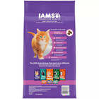 Health With Chicken Kitten Premium Dry Cat Food-7lb