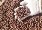 Biohome Biogravel Marine Media For Aquarium   free Bacteria Balls 