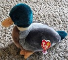 Ty Beanie Baby And Ty Beanie Buddy Jake The Mallard Duck Set Of 2 
