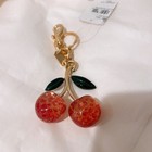 Nwt Coach Bag Charm Holiday Special  Key Chain
