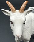Royal Doulton Porcelain Nigerian Pot-bellied Pygmy Goat Amanda Hughes-lubeck