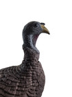 Flambeau Turkey Decoy With Pull String Motion                               W3