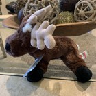 Webkinz Reindeer With Code Sealed Tags Brown Moose Christmas Doll Plush Unused