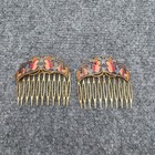 Vintage Cloisonne Enamel Hair Combs Pair Floral Butterfly Brass Art Deco Style