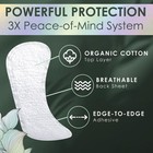 L  Ultra Thin Liners For Women  Regular Coverage  Organic Cotton Top