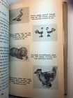 Complete Book Of Small Antiques Collecting