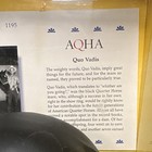 Breyer Traditional Horse Model Quo Vadis Aqha No  1195 Plastic