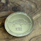 2022 Yellowstone Falls 75 Miles Yellowstone National Park Challenge Coin