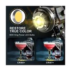 Gvm 80w Softbox Lighting Kit With App Control  Professional Studio Photograph   