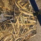 Rustic Ridge  Realtree Max-5 Camo Hunting Wader Lug Boot Sz 9 Wading Camouflage